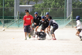 IMG_6851.jpg