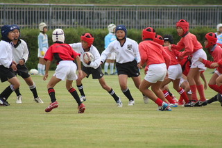 IMG_7688.JPG