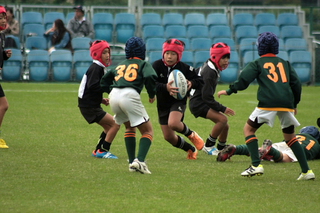 IMG_7766.jpg