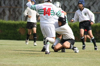 IMG_7901.JPG