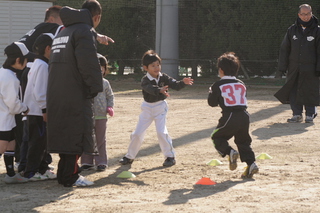 IMG_7915.jpg