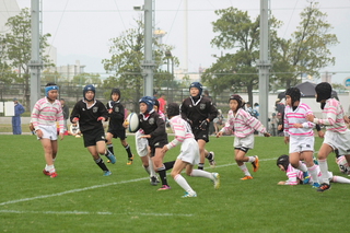 IMG_7941.jpg
