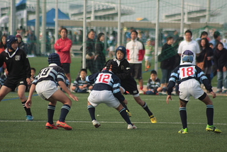 IMG_8189.jpg