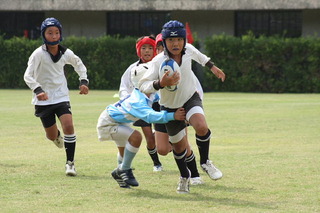 IMG_8254.JPG