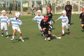 IMG_8343.jpg
