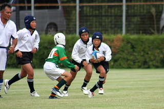 IMG_8370.JPG
