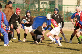 IMG_8486.JPG