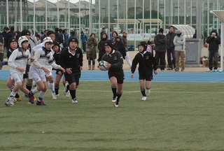 IMG_8584.jpg