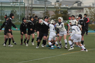 IMG_8642.jpg