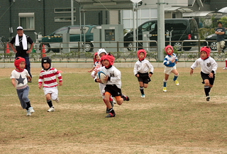 IMG_8693.jpg