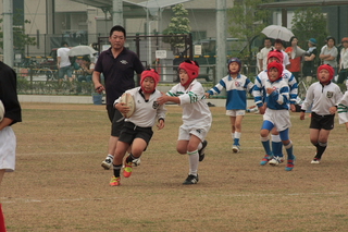 IMG_8795.jpg