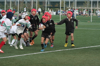 IMG_8842.jpg