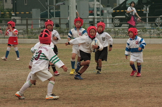 IMG_8913.jpg