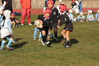 IMG_9720.jpg