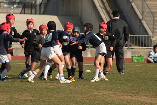 IMG_9834.jpg