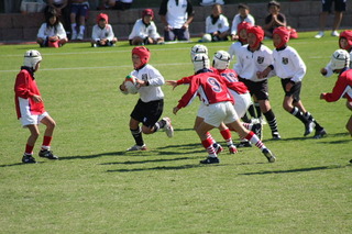 IMG_9938.JPG