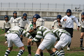 dc050309.jpg
